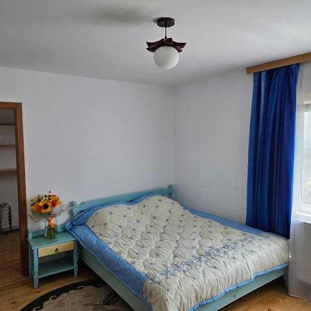 Muzicii 11 - Cozy Seaside Apartments Năvodari Buitenkant foto