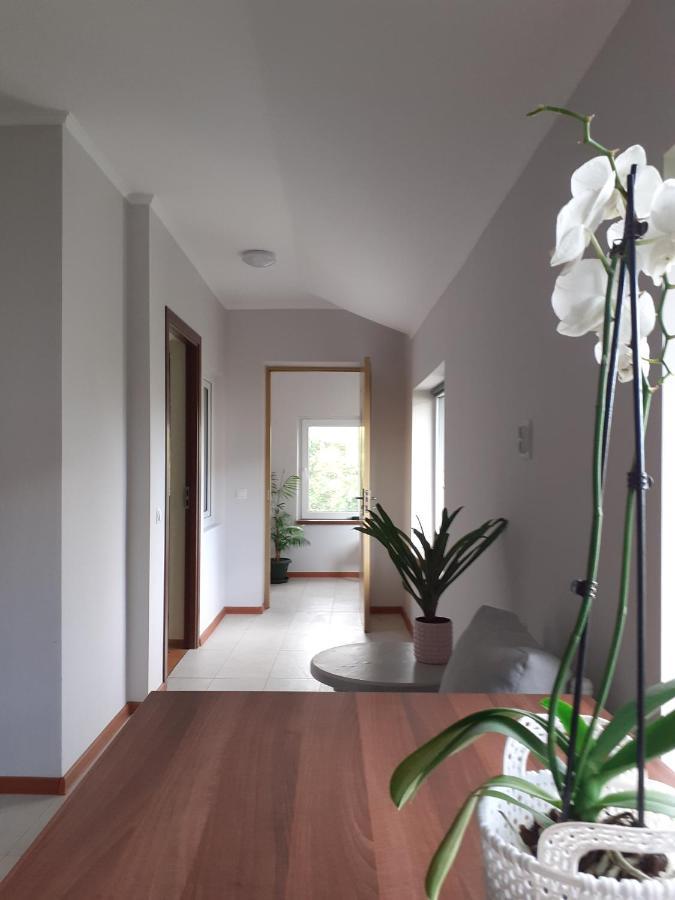 Muzicii 11 - Cozy Seaside Apartments Năvodari Buitenkant foto