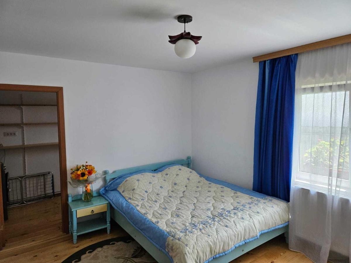 Muzicii 11 - Cozy Seaside Apartments Năvodari Buitenkant foto